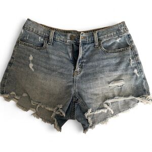 Aerie Denim Women Shorts